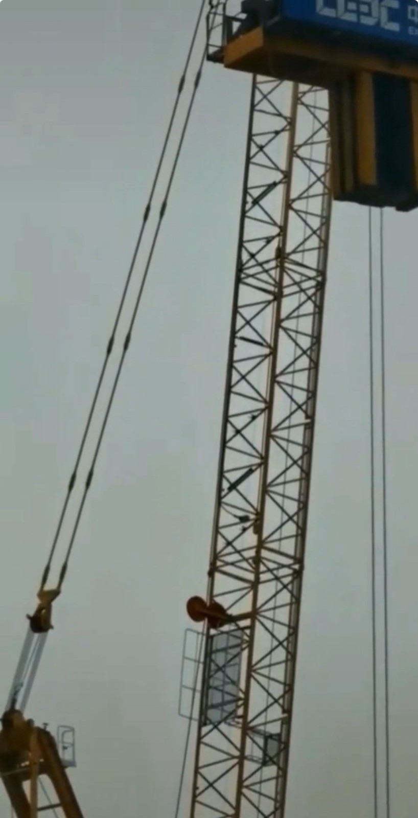 XGL630-50S